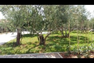 Family Holiday Home - 2
