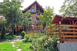 Casa Zollo - nahe den Karpaten Transsilvaniens - Vale - 0