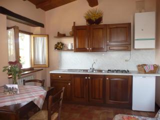 Magnolia - Pratovecchio - 5