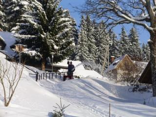 Ferienhaus für 3 Personen 1 Kind ca 85 m in Eisenbach, Schwarzwald Naturpark Südschwarzwald - Oberbränd - 6