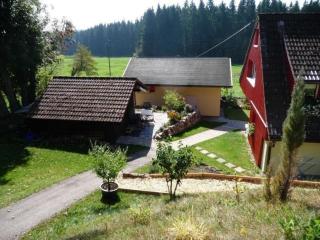Ferienhaus für 3 Personen 1 Kind ca 85 m in Eisenbach, Schwarzwald Naturpark Südschwarzwald - Oberbränd - 5