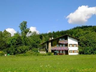Ferienwohnung in Schlag mit großer Terrasse - Kirchdorf im Wald - 0