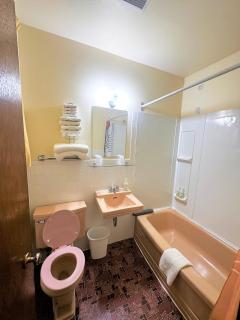 Red Top Motor Inn - Iron Bridge - 9