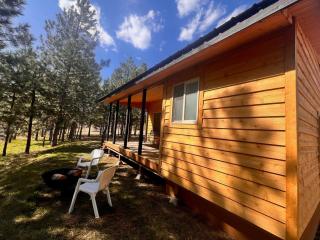 Rustic 1 bd 1 ba Cabin at New Waitts Lake Resort - 5