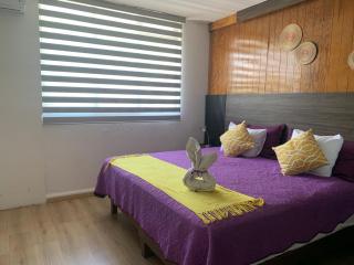 Pino Apartment - Città di Oaxaca - 6