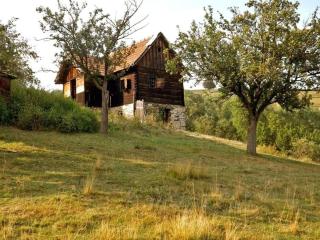 Ferienhaus in Sibiel mit Grill und Garten - Fîntînele - 9