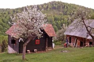 Ferienhaus in Sibiel mit Grill und Garten - Fîntînele - 8