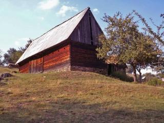 Ferienhaus in Sibiel mit Grill und Garten - Fîntînele - 6