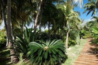 Bungalow Pitaya - Saint-François - 9