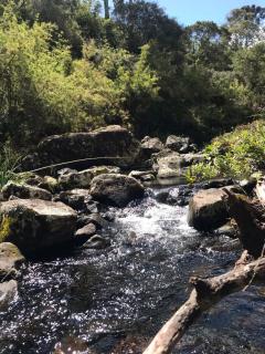 Cabana Aroma da Serra - 9