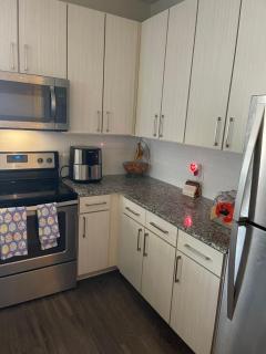 Luxury 2bedroom condo - Fairburn - 6