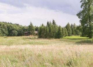 Villa "Haus am Bach" mit Garten und Terrasse - Słuchowo - 7