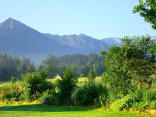 Panoramabergblickwohnung in ruhiger Einzellage - Ofterschwang - 7