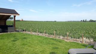 Ferienhaus am Meer mit Polderblick im Naturpark Zeeland - Stavenisse - 7