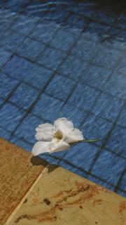 New Puri Asih Hotel - 3