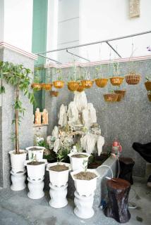 Stargazerhotel Đà Nẵng- Khách sạn Hoa Ly - Da Nang - 6