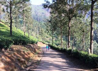 4 Rooms private cottage at attukad tea estate - Devikolam - 5