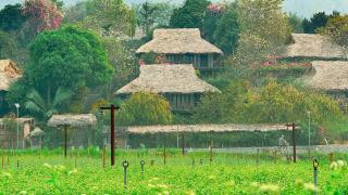 Mai Chau Ecolodge - Mai Châu - 8