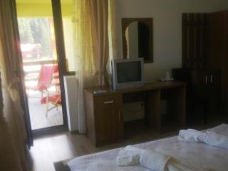 Pension Valeria - Voronet - 9