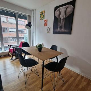 Serene 1 bedroom apartment Oslo - Oslo - 7