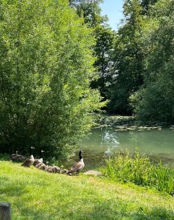 la Belle Seine - Samois-sur-Seine - 5