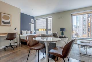 Back Bay studio w gym wd nr shopping BOS-868 - Boston - 7