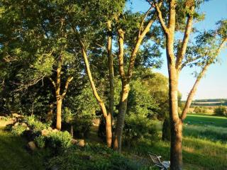 Holiday apartment Fernblick - Daberkow - 5