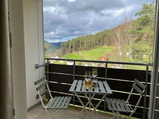 Gemütliche Wohnung in Baiersbronn - Baiersbronn - 3