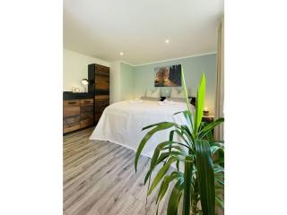 Holiday apartment mountain view - Klingenthal - 1