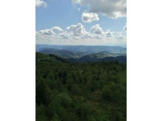Lovely apartment in Baden-Württemberg - - 5