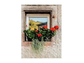 Lovely apartment in Baden-Württemberg - - 4