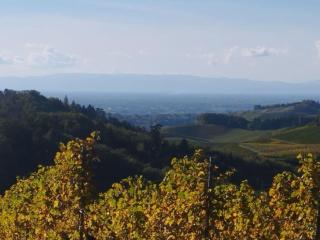 Lovely apartment in Baden-Württemberg - - 6