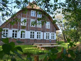 Holiday home Deichkind on the Elbe dike - Mödlich - 0
