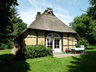 Holiday home Hirtenkate apartment 2 - Gödenstorf - 6