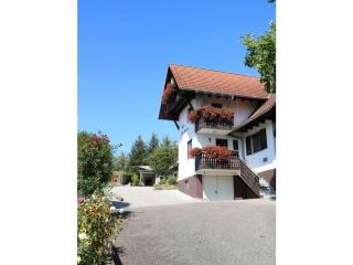 Apartment on the Isenmann fruit farm - Zell am Harmersbach - 8