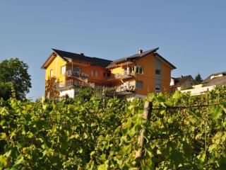 SonnenHof holiday apartment 4 - Enkirch - 0