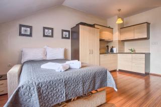 Cozy Studio in The Regnum Bansko Ski Hotel & SPA by Flat Mаnager - Bansko - 0