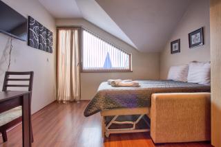 Cozy Studio in The Regnum Bansko Ski Hotel & SPA by Flat Mаnager - Bansko - 3