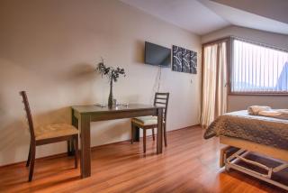 Cozy Studio in The Regnum Bansko Ski Hotel & SPA by Flat Mаnager - Bansko - 2