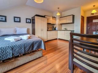 Cozy Studio in The Regnum Bansko Ski Hotel & SPA by Flat Mаnager - Bansko - 4