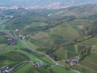 Fantastic apartment in Oberkirch - Oberkirch - 4