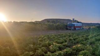 Unique Bus stay with stunning views in Ramla Bay by 360 Estates - Il-Pergla - 9