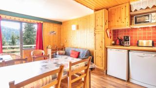 Hippocampe 20 - Appt cosy 4-6 pers - Chamrousse - 0