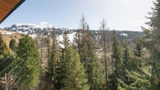 Hippocampe 20 - Appt cosy 4-6 pers - Chamrousse - 1