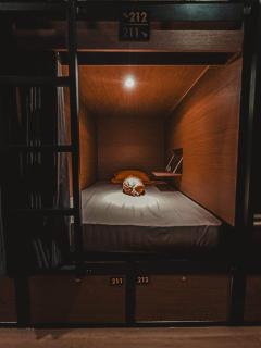 Autumn Living Hostel - 6