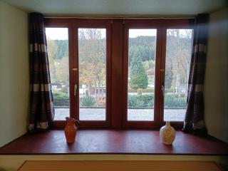 Forest 104 - Vielsalm - 4