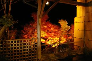 Sawatari Onsen Miyataya Ryokan - Nakanojo - 7