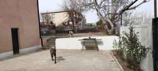 LT property - Rustavi - 7