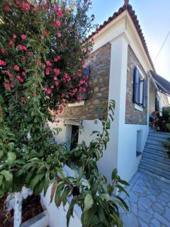 Danai Traditional Apartment - Samos (Samo) - 7