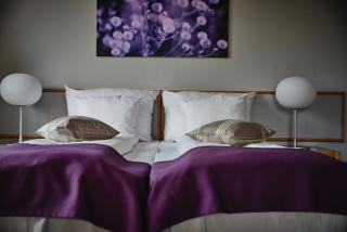 Thon Partner Hotel Høje Taastrup - Tåstrup - 4
